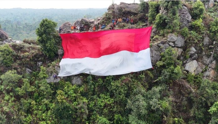 Peringati HUT ke 80 Kemerdekaan RI, Kolaborasi Pesisir 2025 Gelar Pengibaran Bendera 25 x 15 Meter di Tebing Batu Dinding