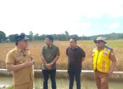 Pemkot Balikpapan Bangun Irigasi, Genjot Produktivitas Pertanian