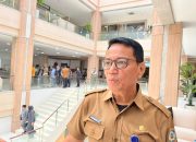 DLH Balikpapan Upayakan Penghijauan Lewat Tanaman Tabebuya