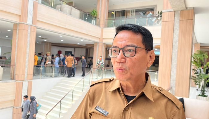 DLH Balikpapan Upayakan Penghijauan Lewat Tanaman Tabebuya