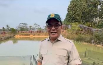 Manfaatkan Kolam, Wawali Bagus Susetyo Dorong Pertumbuhan Ekonomi Lewat Budidaya Ikan Air Tawar